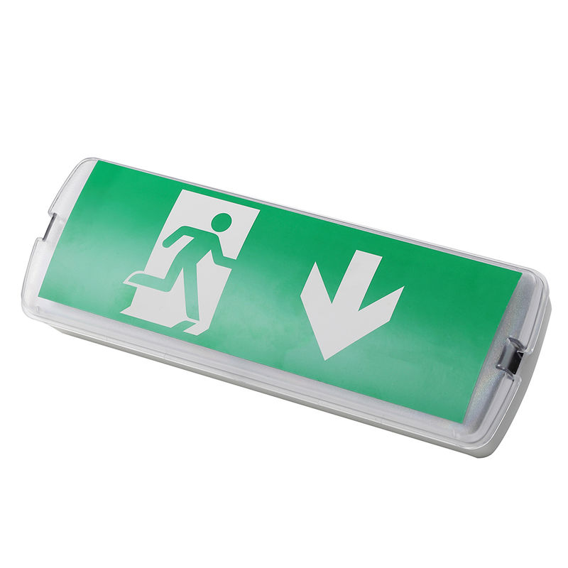 रिचार्जेबल एलईडी आपातकालीन दीपक 3W 6500K Ni CD बैटरी IP20 SMD एलईडी 220V 240V